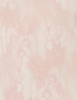 Lace Bodysuit