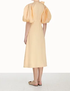 Tie Neck Midi Dress