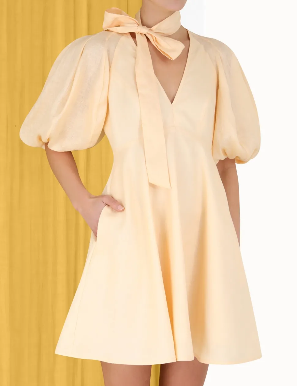 Tie Neck Mini Dress